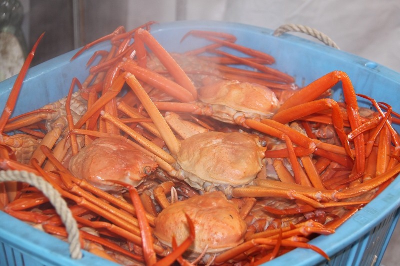 【冬季限定】富山湾の恵みと漁港の熱気を満喫〜昼セリ見学＆紅ズワイガニ贅沢１杯付プラン