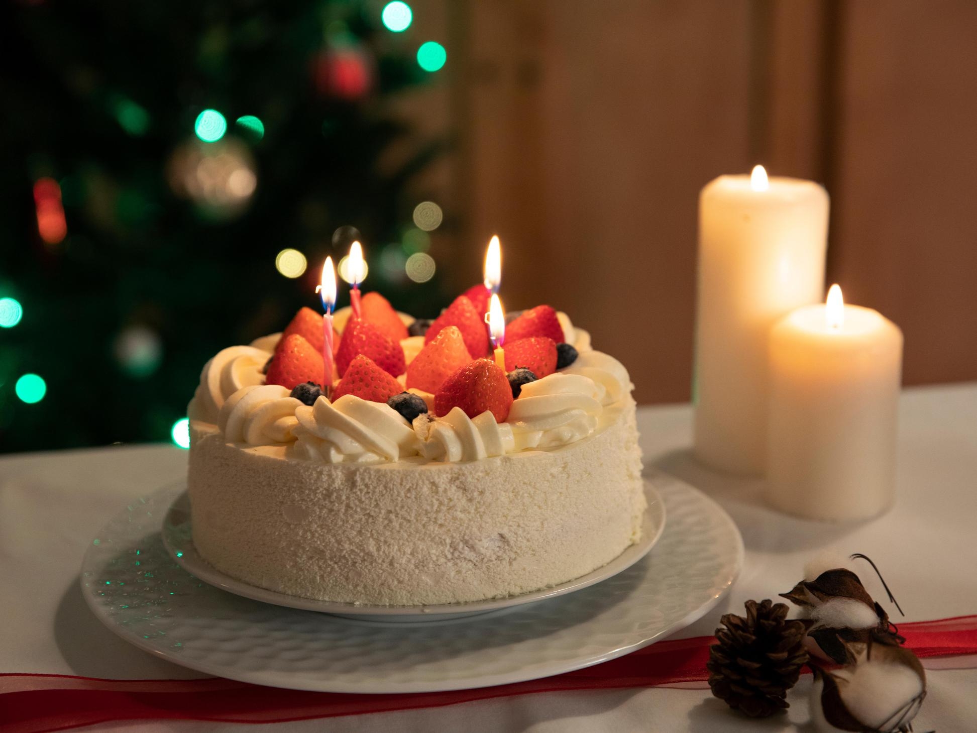 【クリスマスケーキ付】サンタがお部屋にやってくる！富山砺波オールインクルーシブプラン