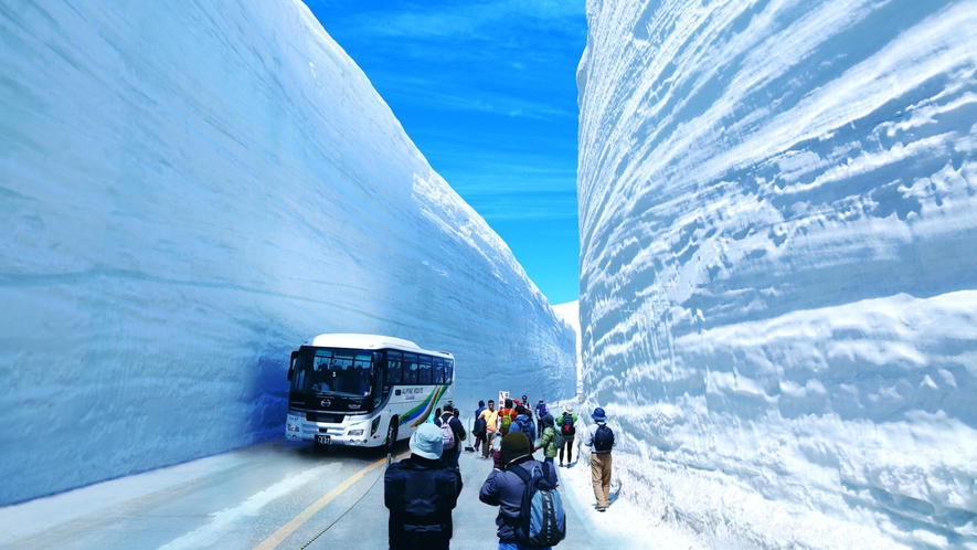 立山黒部アルペンルート・雪の大谷