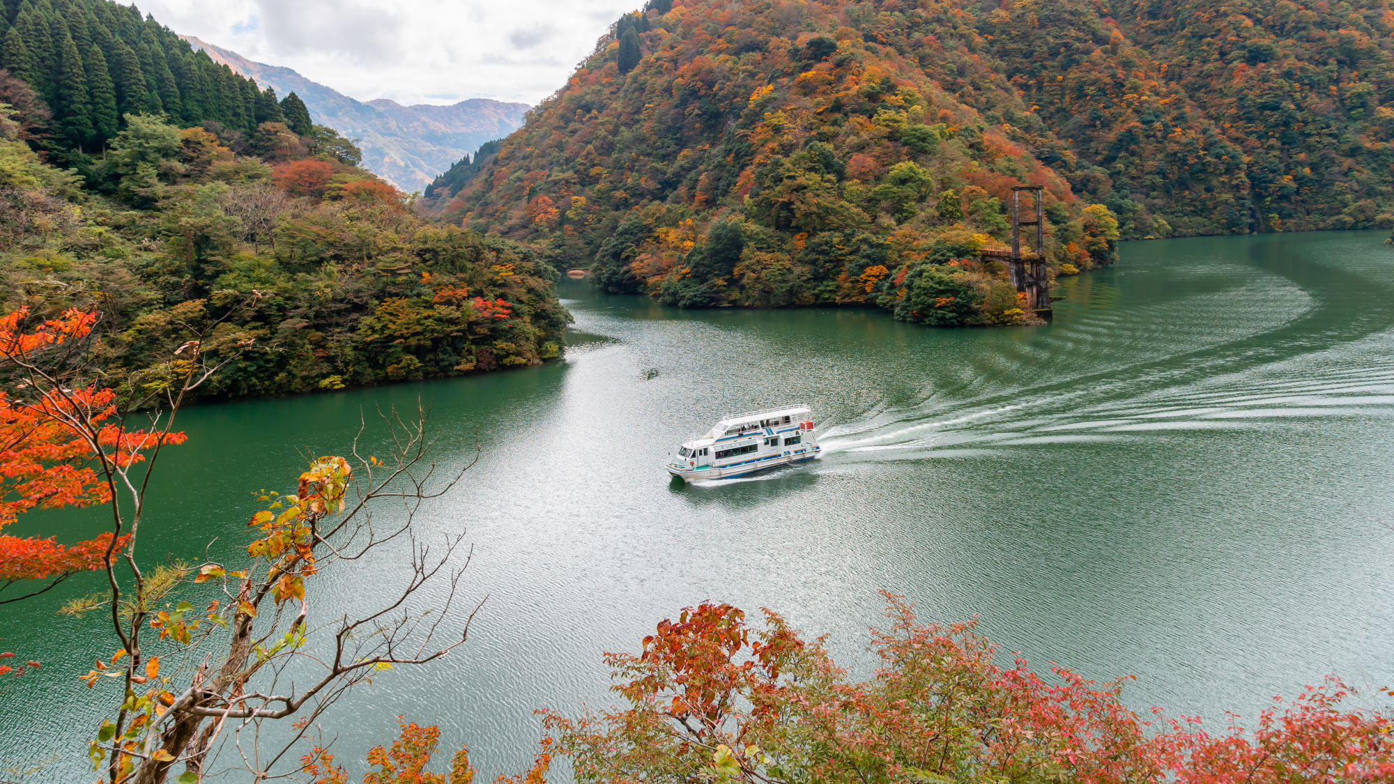 秋の庄川遊覧船
