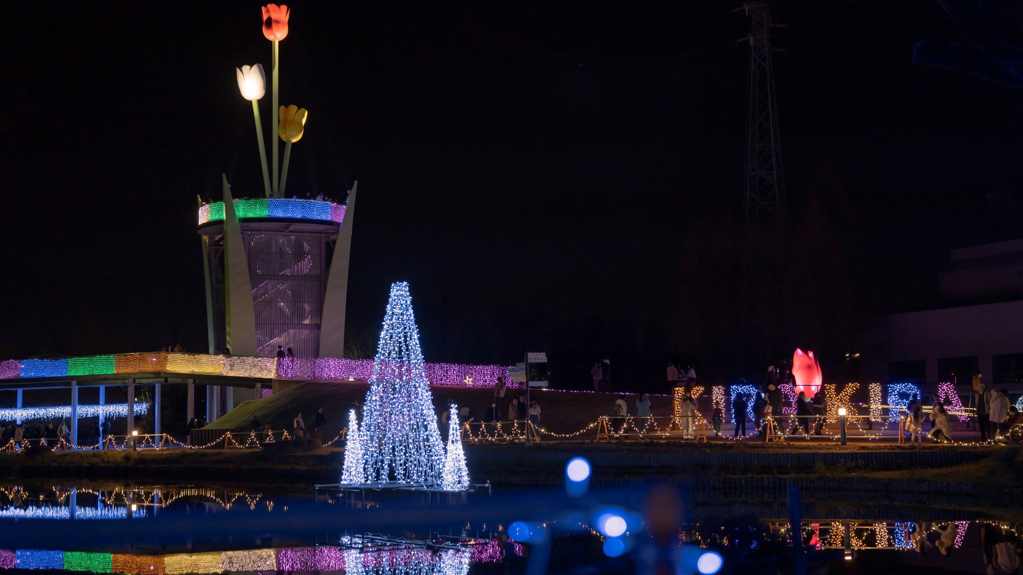 チューリップ公園[冬季]