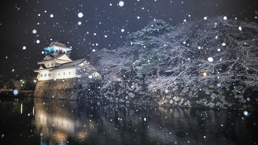 雪の富山城