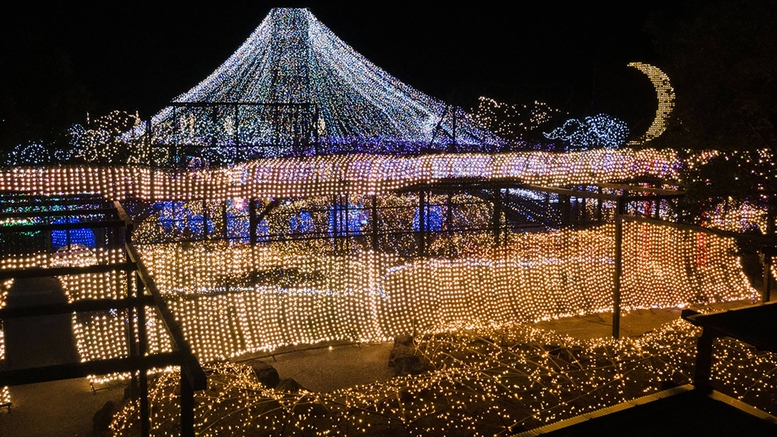 【由志園★冬の日本庭園イルミネーション】入園券付き！朝食ビュッフェプラン