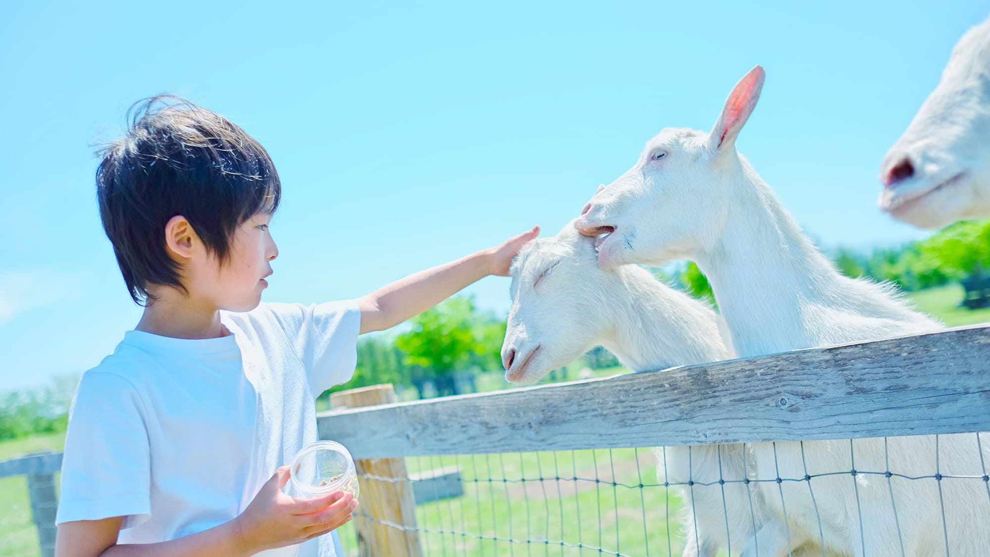 【春ファミリー満喫】周辺で遊ぶアクテビティポイント付／オールインクルーシブ夕朝食・ラウンジアクセス付