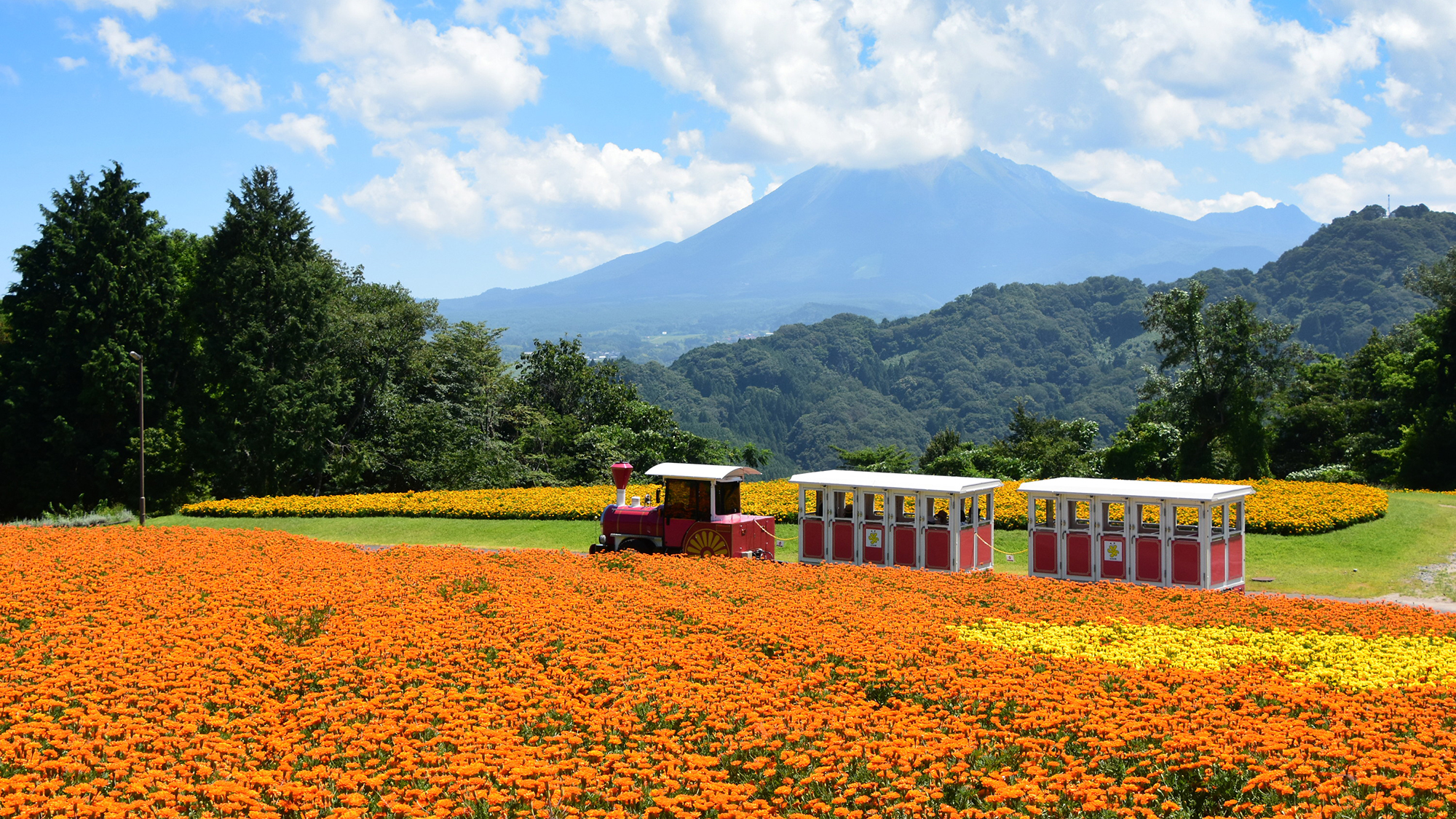 夏のとっとり花回廊