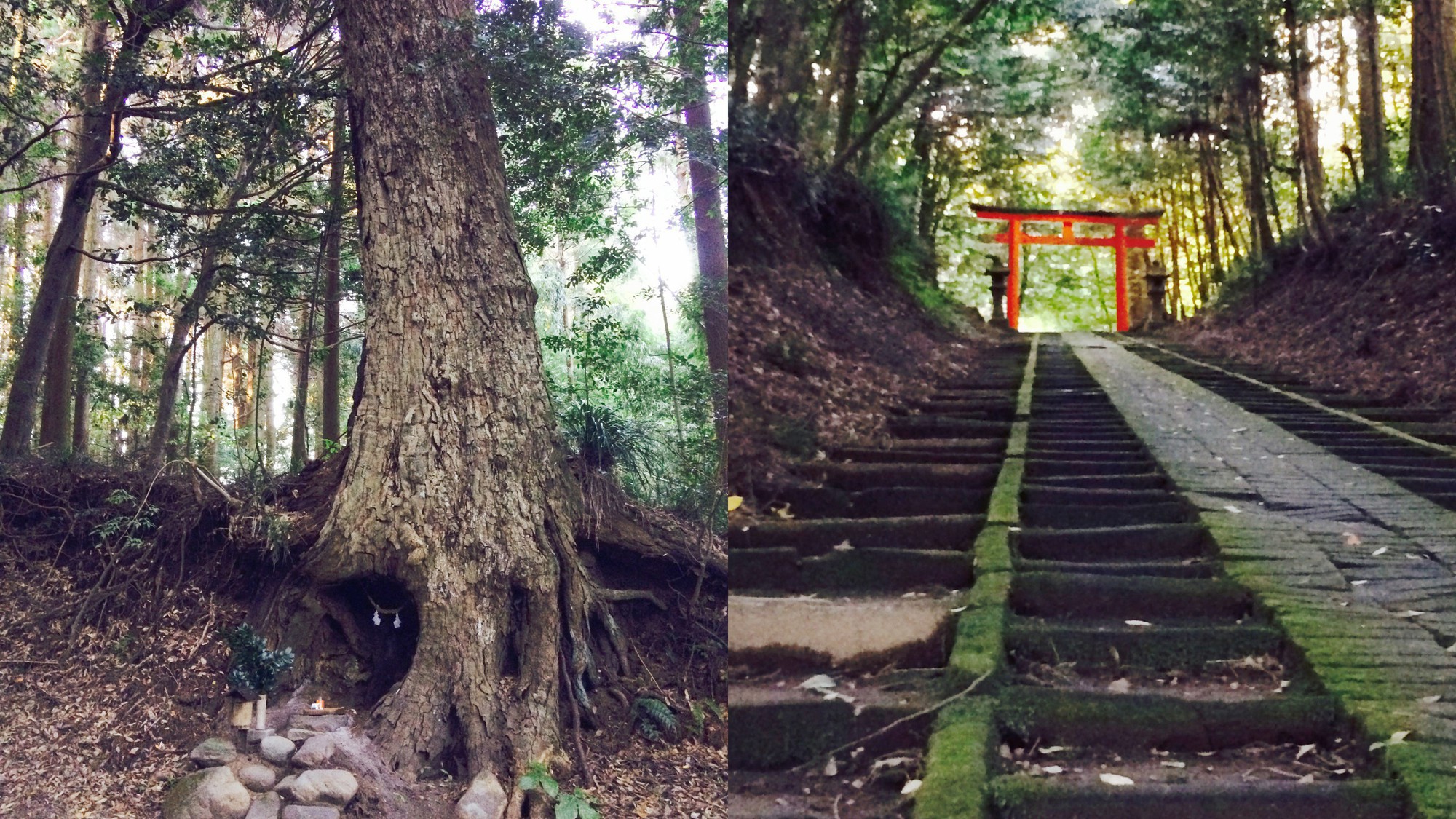 霧島岑神社