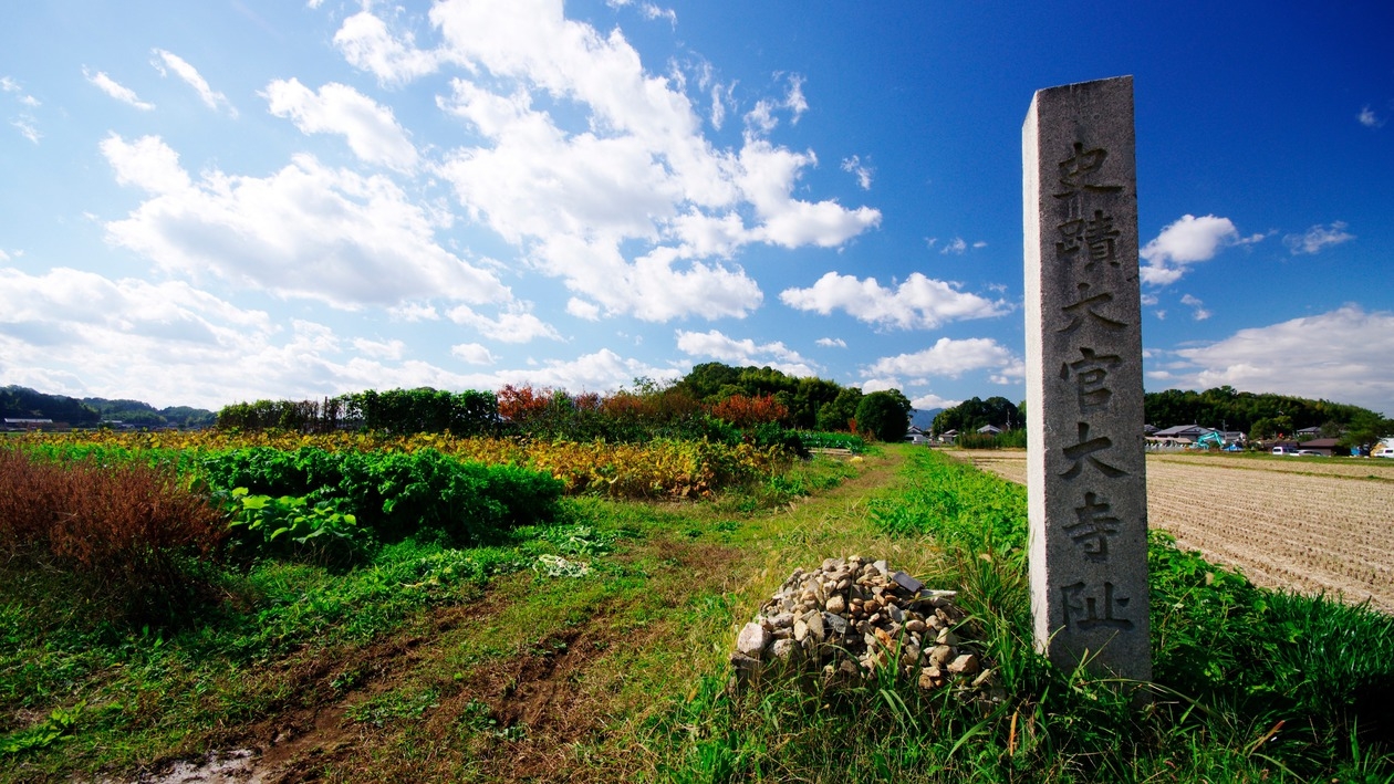 【飛鳥・藤原の宮都 世界遺産登録応援プラン】オールインクルーシブで橿原＆飛鳥を満喫！＜お土産付＞