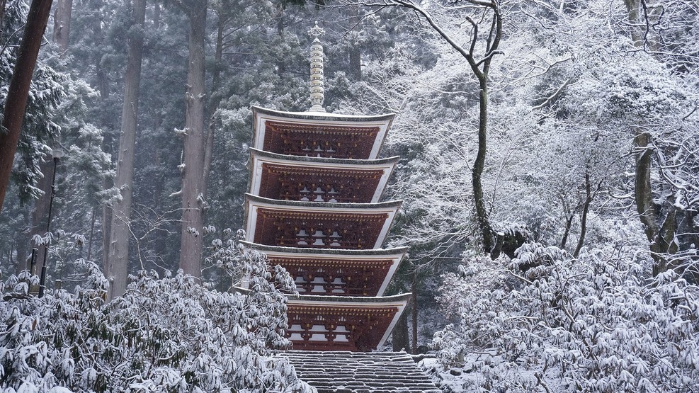 【万葉のふるさと】奈良の古刹でご利益巡り！奈良大和四寺巡礼 共通拝観券付＜朝食・ラウンジ付＞