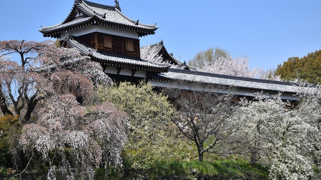 大和郡山「大河ドラマ館」入館券付き！ 豊臣秀長ゆかりの地に触れる奈良ステイ＜朝食付＞