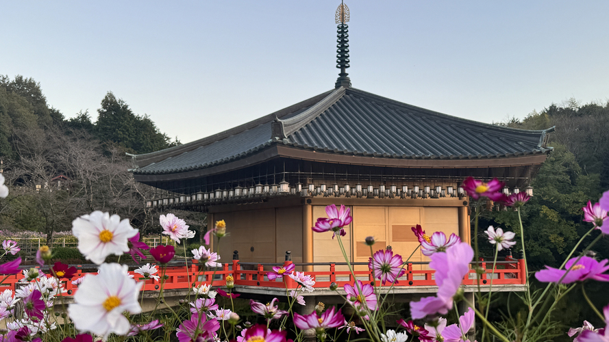 【ファミリーで四寺巡礼】ご利益巡り！奈良大和四寺巡礼 共通拝観券付＜夕朝食付・オールインクルーシブ＞