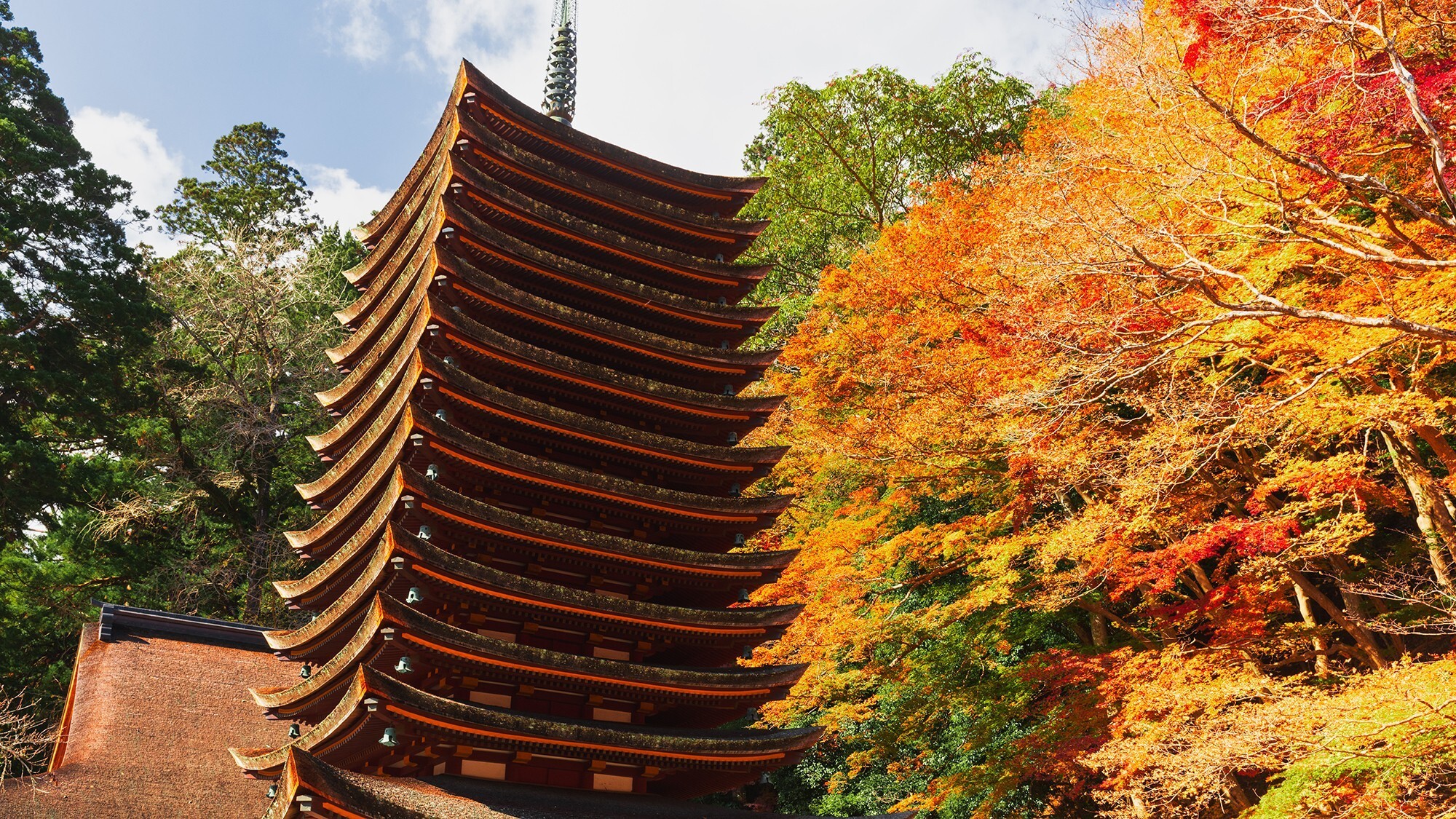 【談山神社】紅葉（見頃：11月中旬～12月上旬）