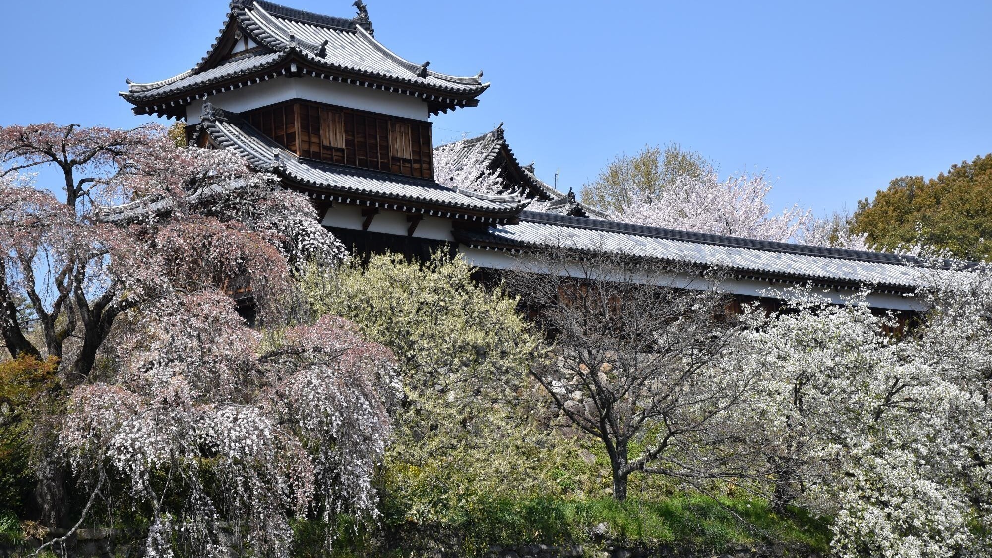 郡山城跡 東多聞櫓