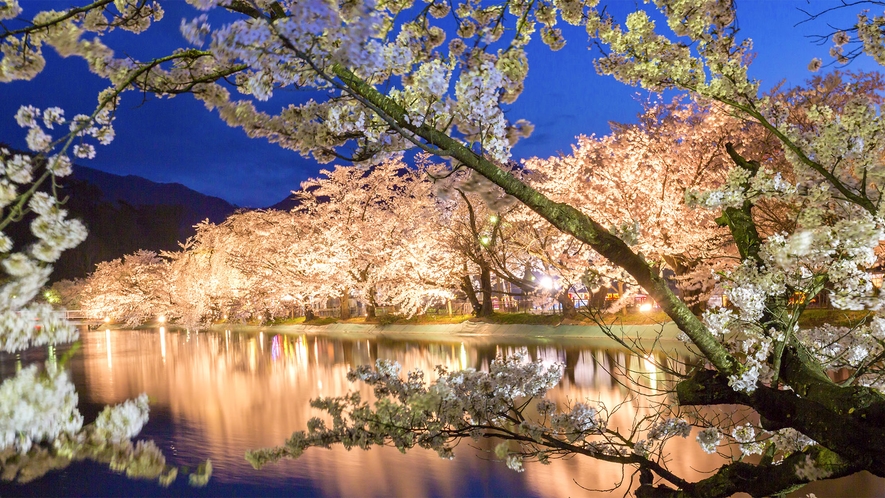 【臥竜公園の桜(夜)】4月中旬～4月下旬(見頃の目安)／ホテルから車約40分