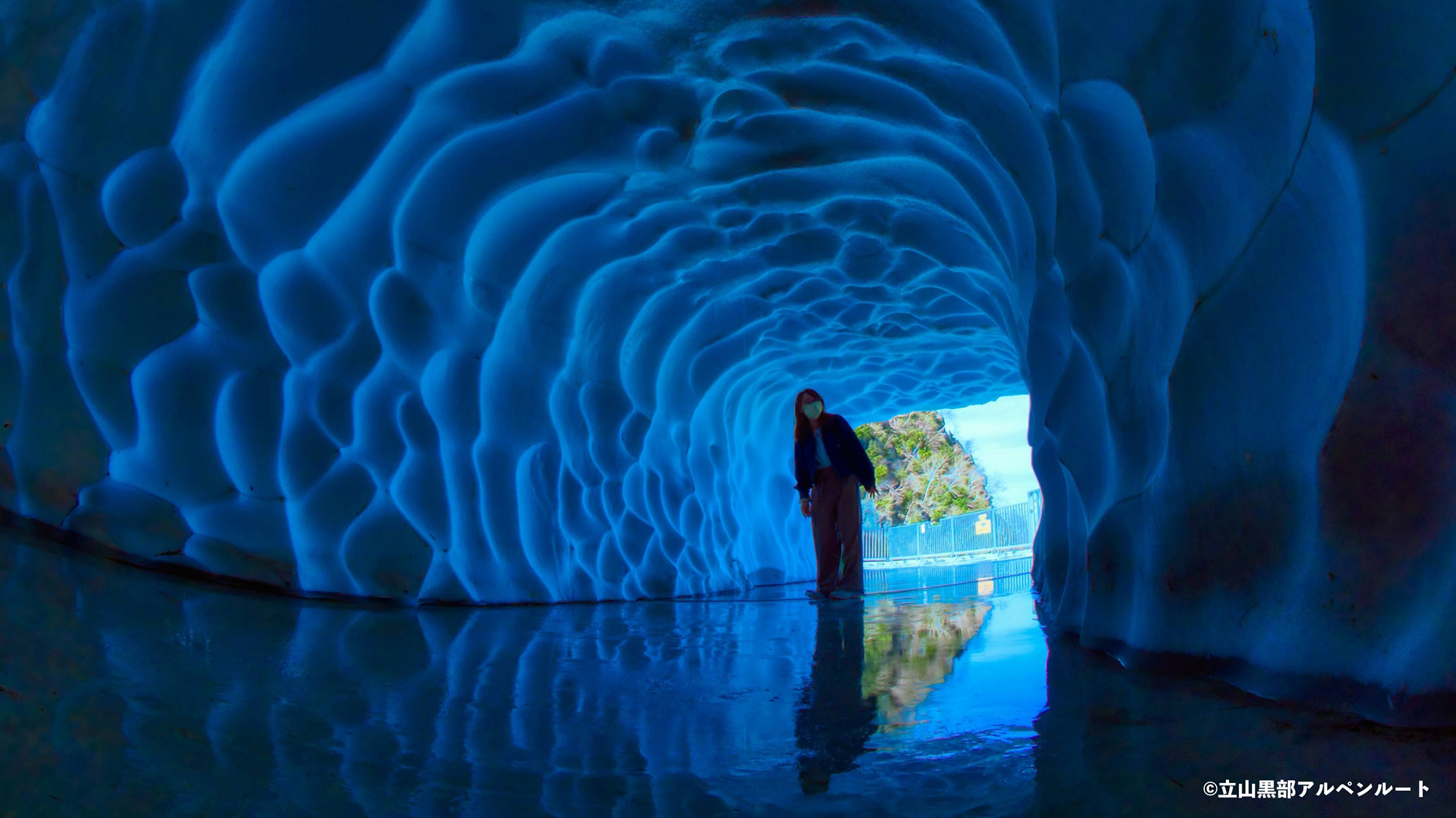 【雪の大谷フェスティバル】大観峰＿雪のトンネル