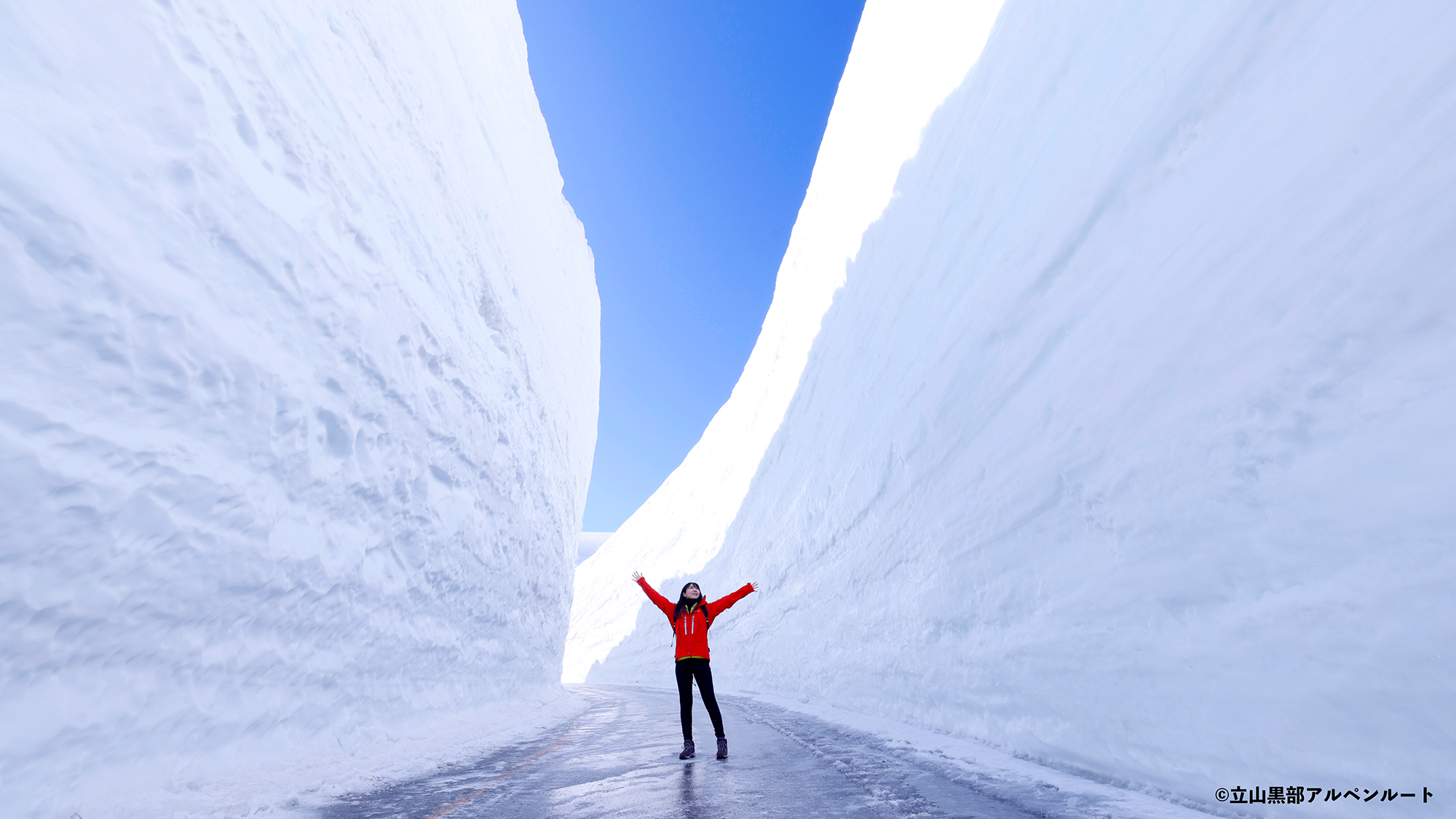 【雪の大谷フェスティバル】巨大な雪壁は圧巻です