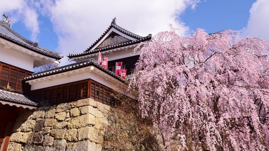 【上田城跡の桜】4月上旬～4月中旬(見頃の目安)／ホテルから車約50分