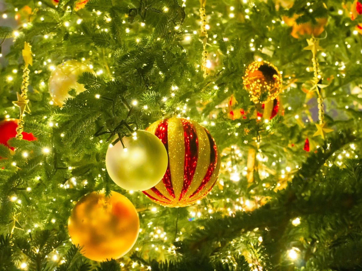 【クリスマスディナー】-黒毛和牛＆アワビのグラタンなど全7品-×匠シェフの朝食付　博多駅より徒歩1分