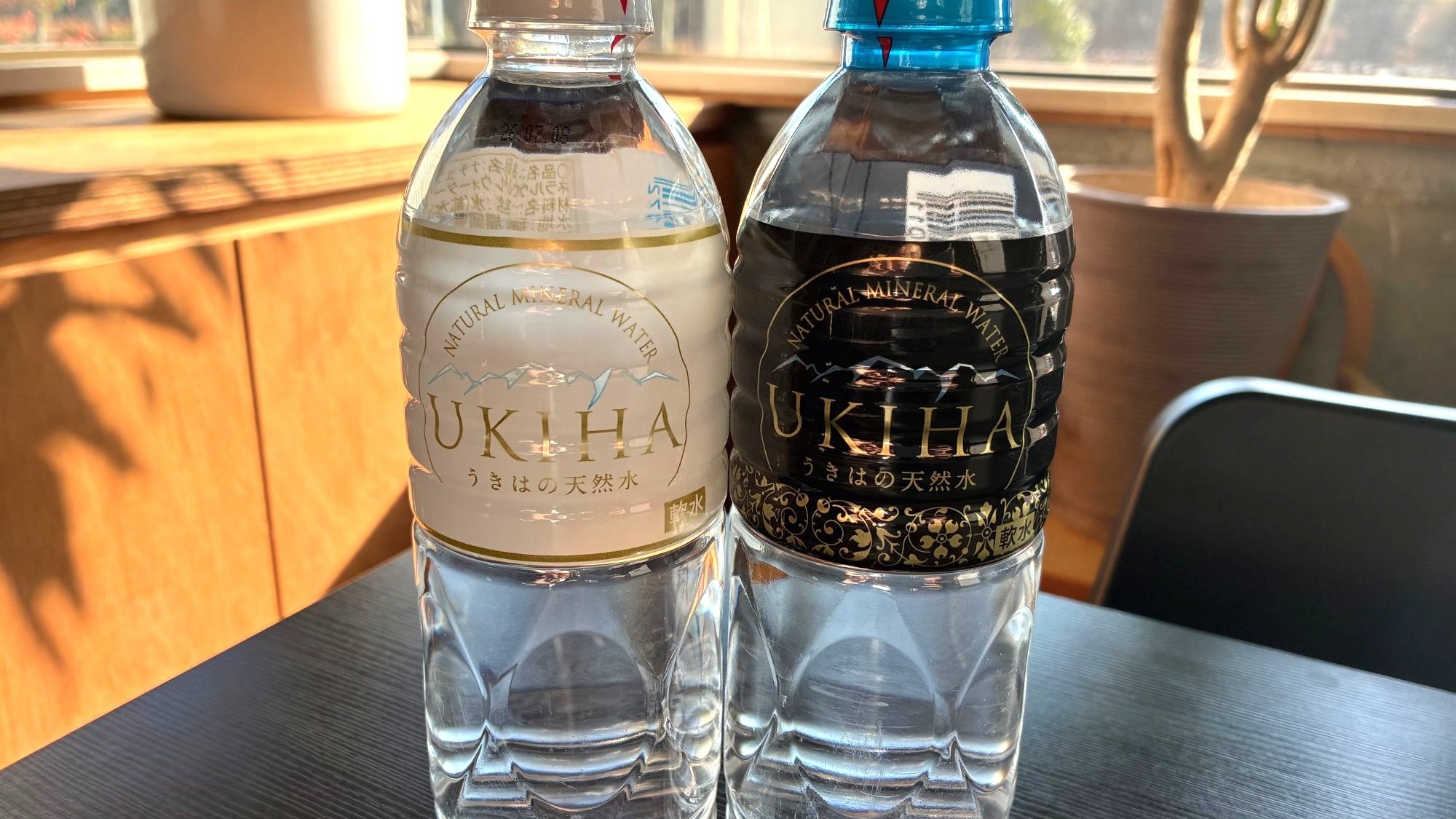 【都心のオアシスで癒しのひとときを】大濠公園日本庭園チケット＆12時アウトOK！◆おにから朝食付◆