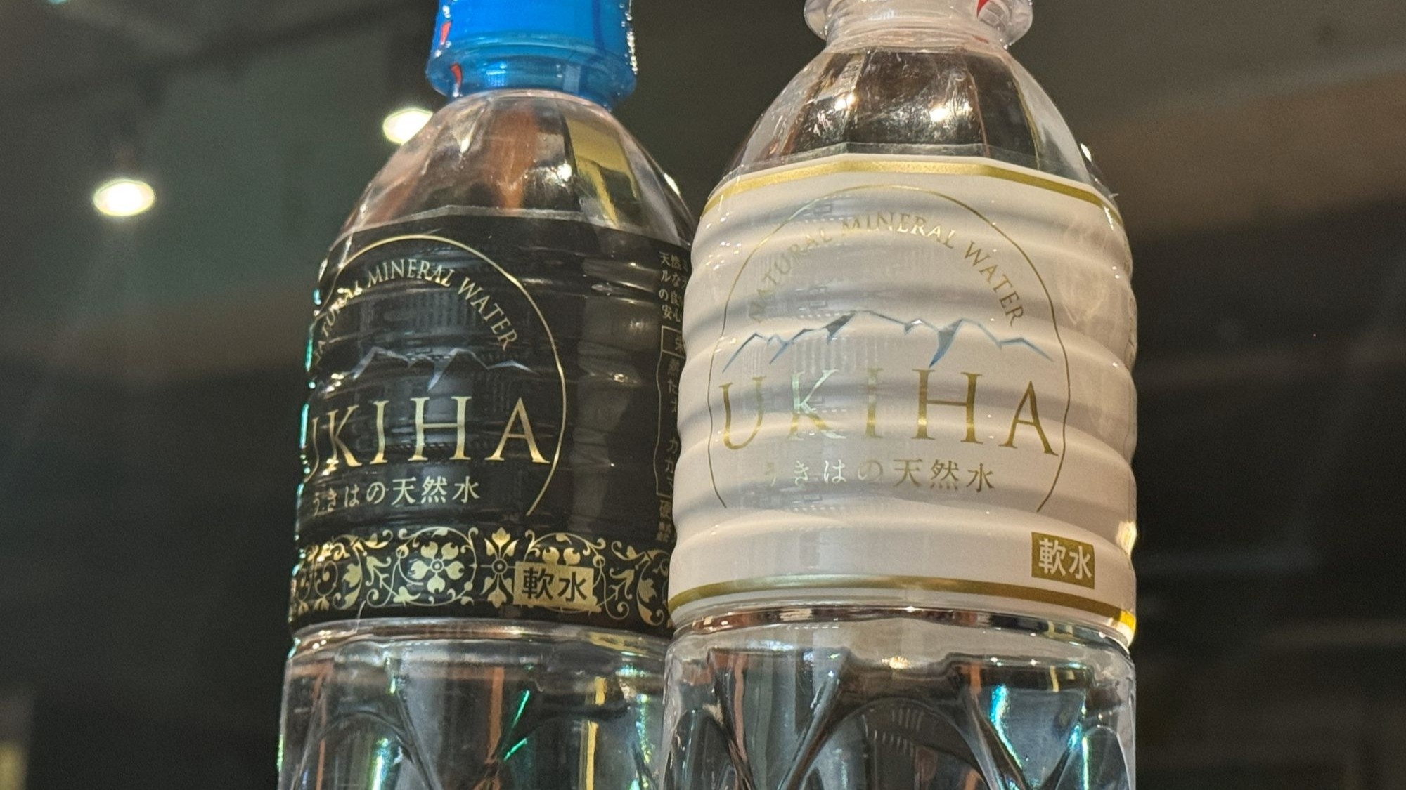 【都心のオアシスで癒しのひとときを】大濠公園日本庭園チケット＆12時アウトOK！◆おにから朝食付◆