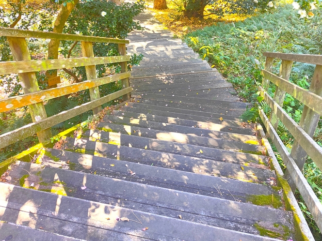 西公園_散歩道2