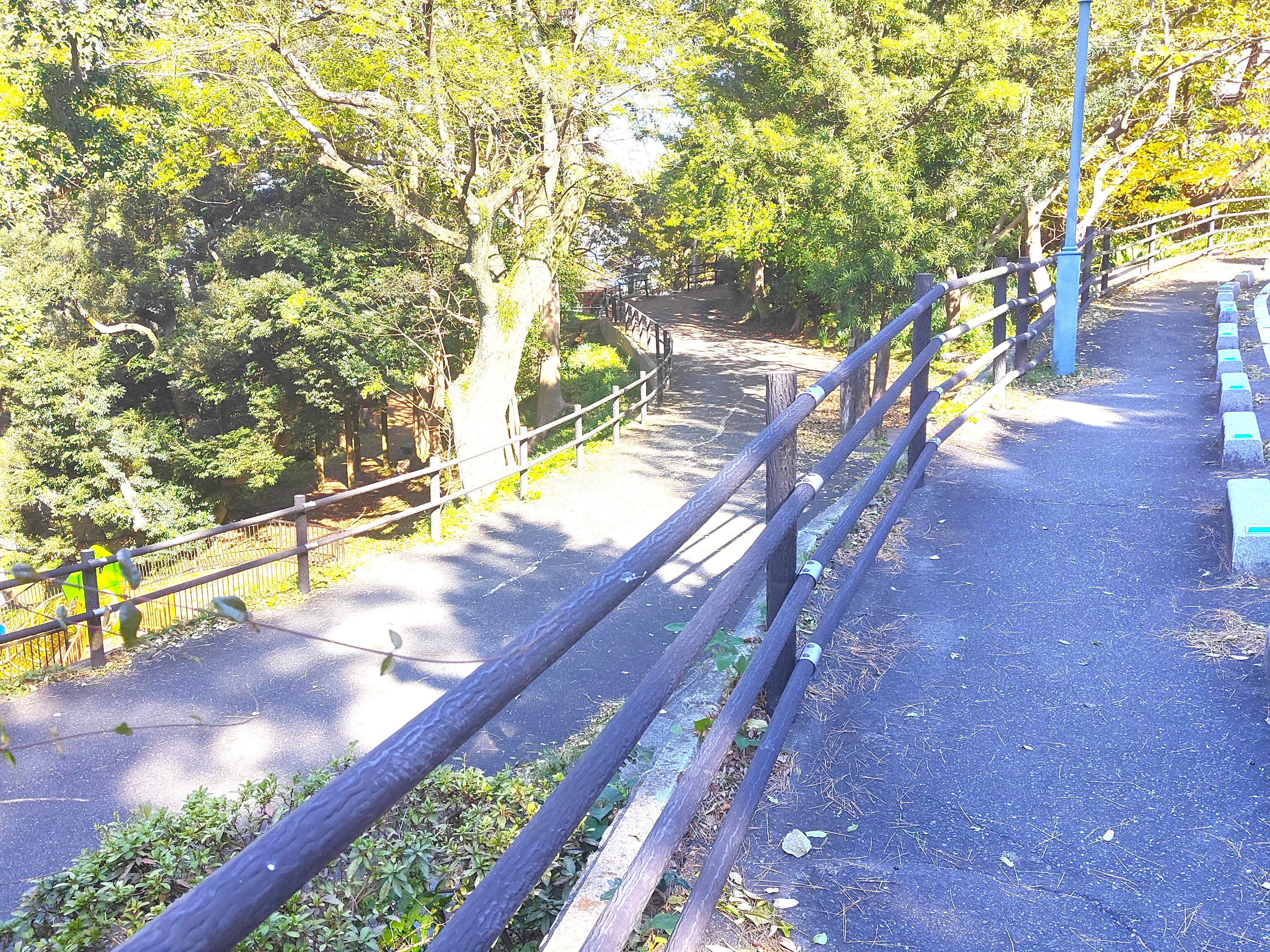 西公園_散歩道1