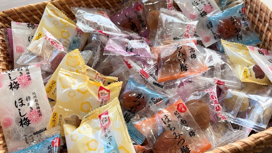 【期間限定】梅の里！個包装梅干しのつかみ取り体験＜夕朝食付・オールインクルーシブ＞