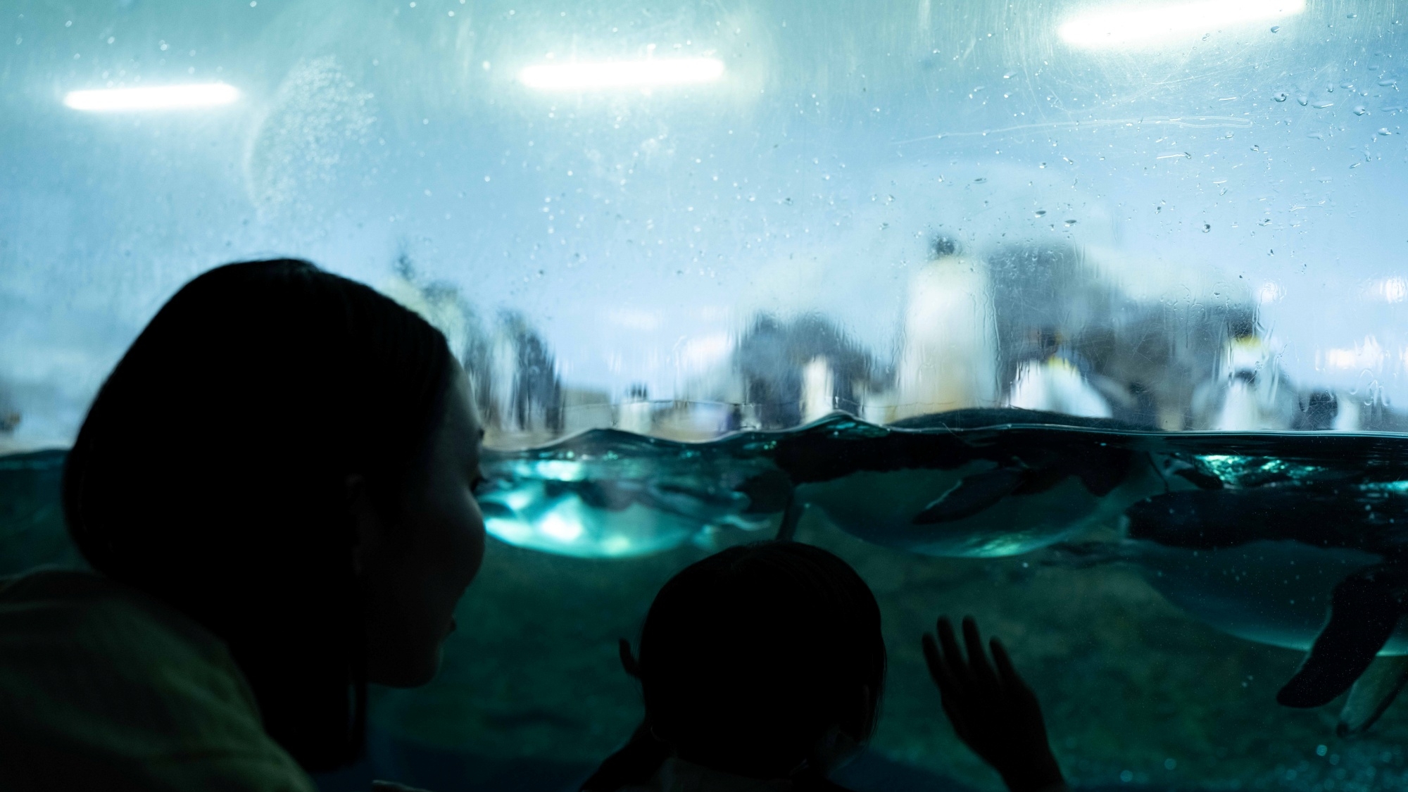 アドベンチャーワールド