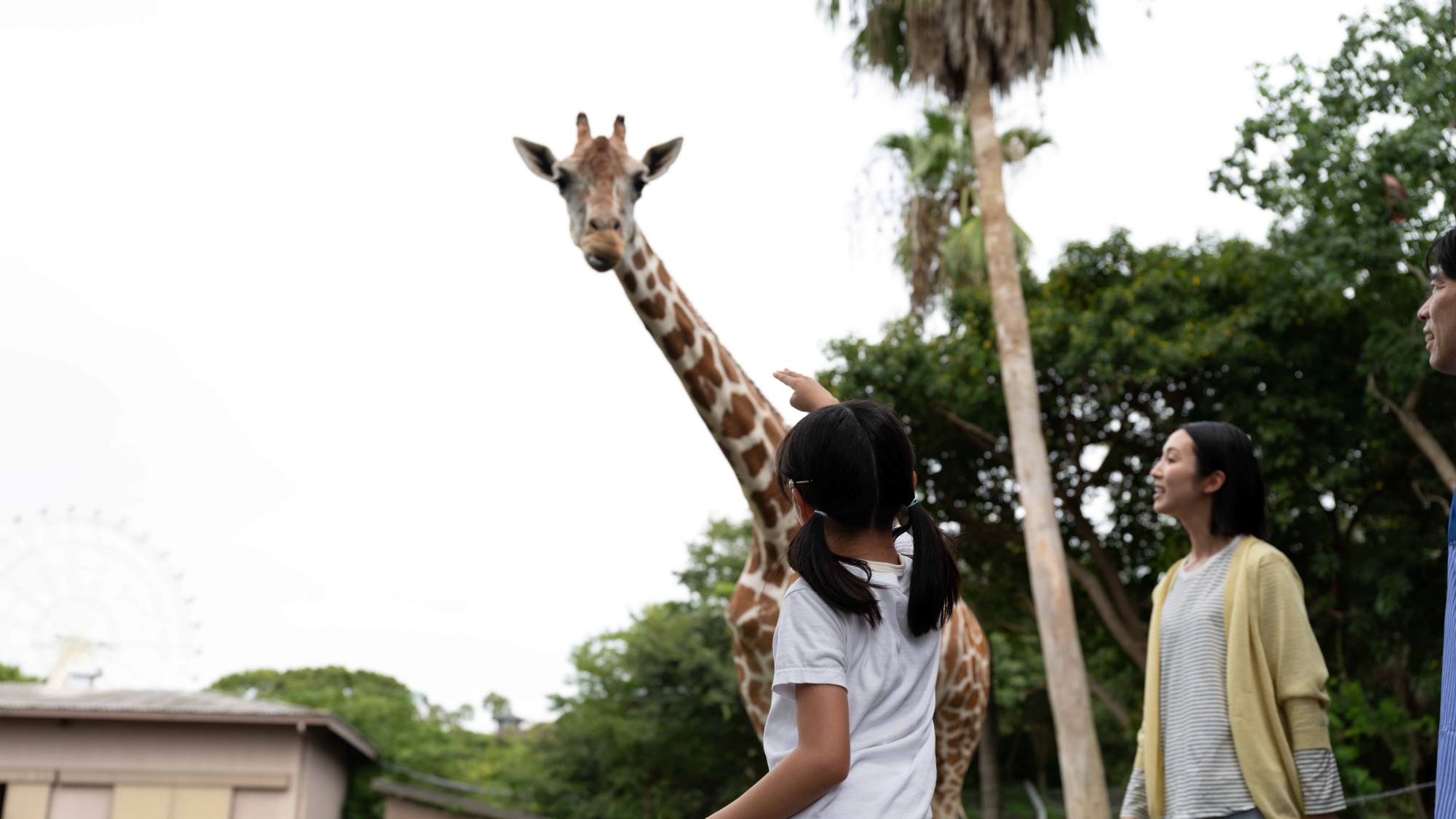 アドベンチャーワールド