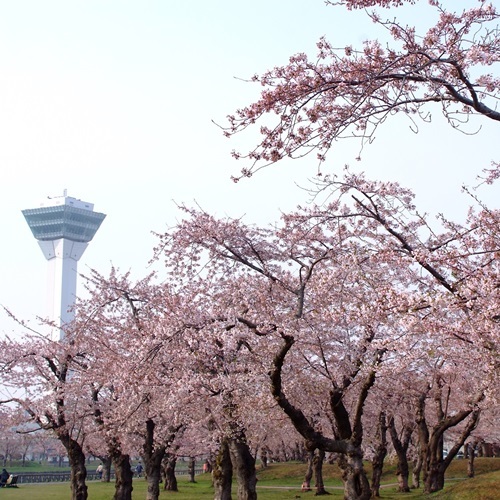 ホテル函館ロイヤル　シーサイド　（ＢＢＨホテルグループ） - 写真 218