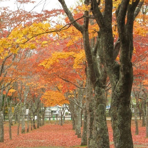 ホテル函館ロイヤル　シーサイド　（ＢＢＨホテルグループ） - 写真 231