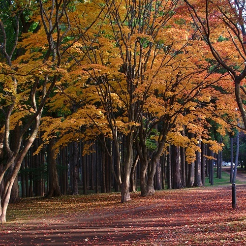 ホテル函館ロイヤル　シーサイド　（ＢＢＨホテルグループ） - 写真 229