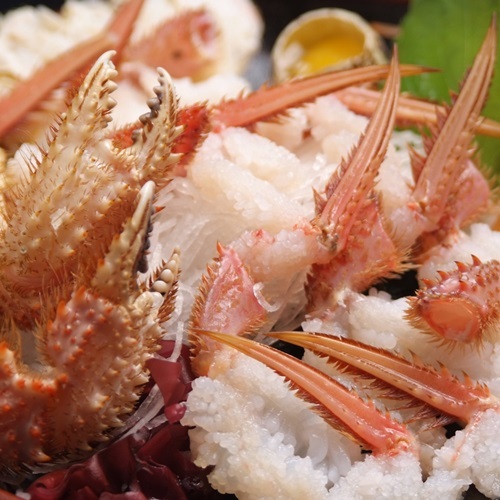 ホテル函館ロイヤル　シーサイド　（ＢＢＨホテルグループ） - 写真 238