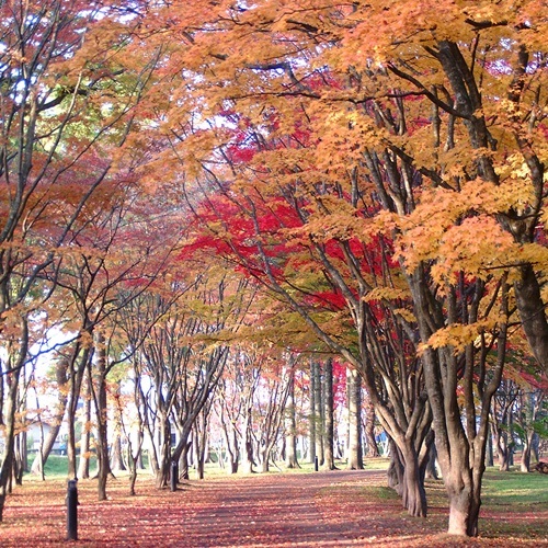 ホテル函館ロイヤル　シーサイド　（ＢＢＨホテルグループ） - 写真 230