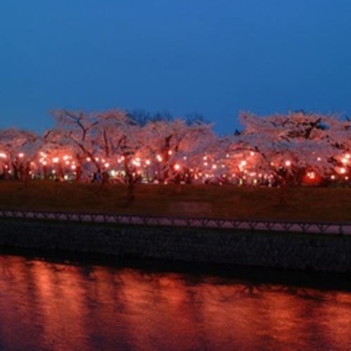 夜桜五稜郭公園