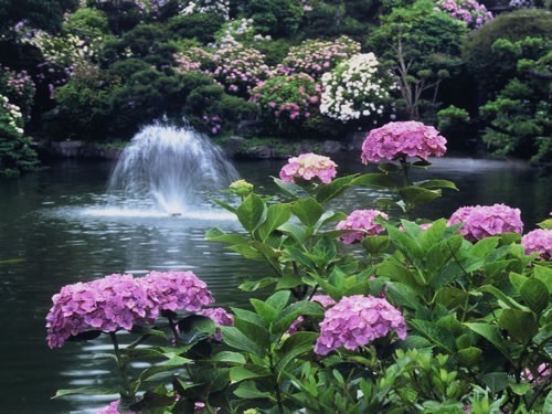 水戸京成ホテル - 写真 64