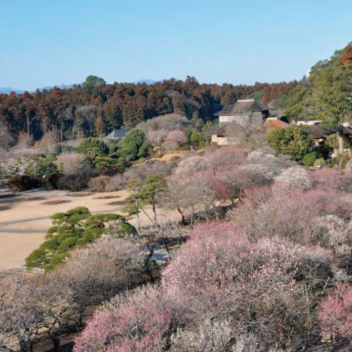 水戸京成ホテル - 写真 63