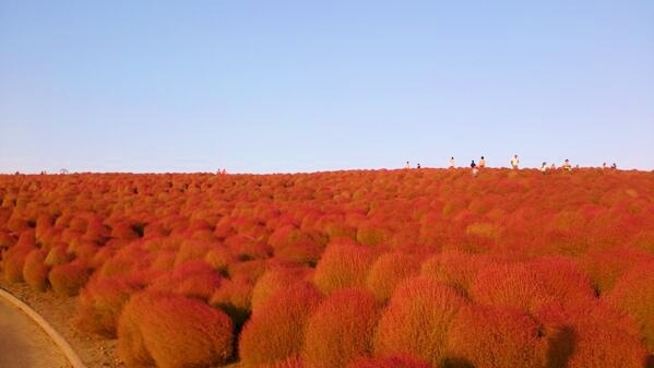 水戸京成ホテル - 写真 68