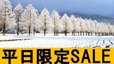 【平日限定SALE】シンプル素泊りプラン　〜食事なし〜