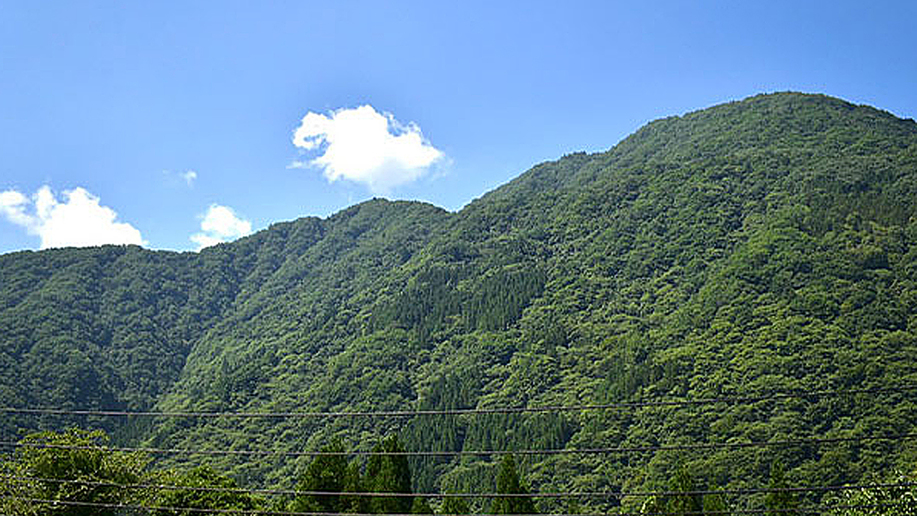 里山和室から望む福地山の夏