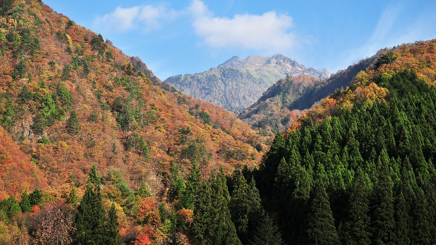 秋の焼岳