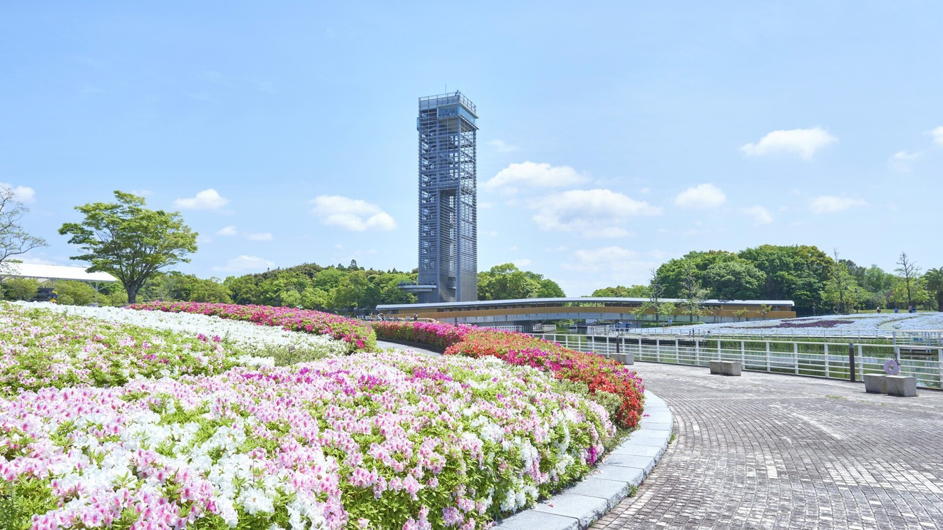 【浜名湖花博入場券付（ガーデンパーク）】スタンダード・ディナー宝石寿司＋地元和牛＋揚げたて天婦羅