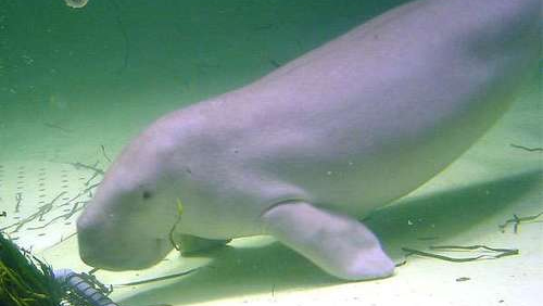 【ナイトアクアリウム　チケット付】素泊まり・おまかせ客室プラン