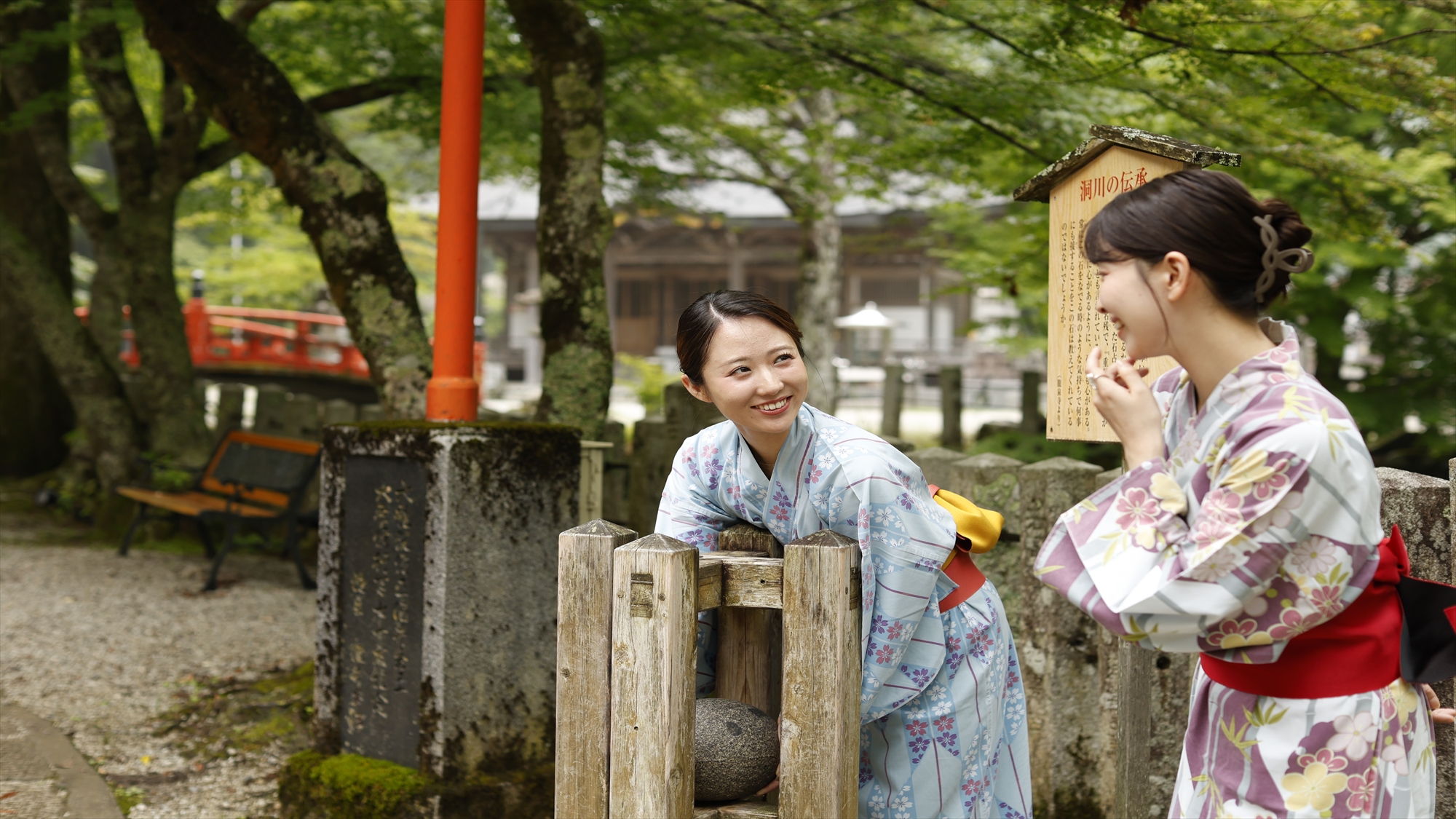 宿から徒歩３分　龍泉寺　不思議な撫で石