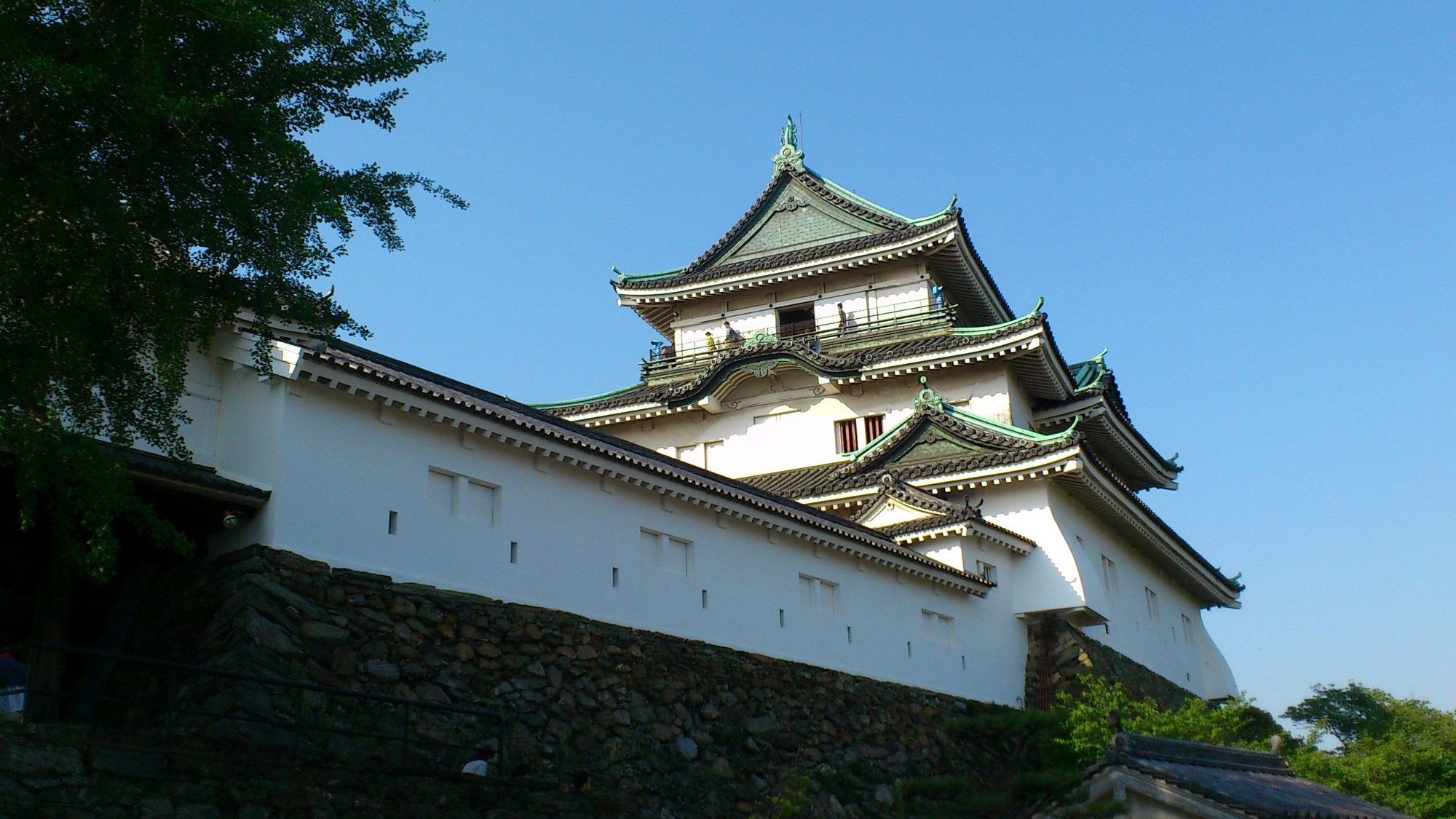 天守閣が立つ和歌山市のシンボル「和歌山城」。茶室や動物園もあり多岐に楽しめる（休暇村から車で30分）