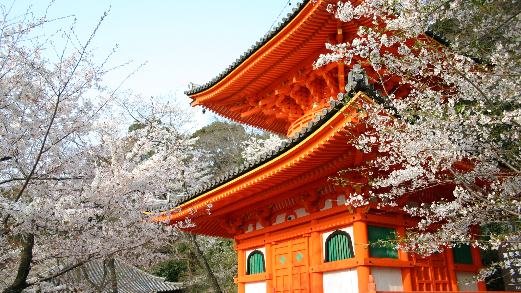 和歌山県の桜の開花宣言の標本木のある「紀三井寺」（休暇村から車で45分）