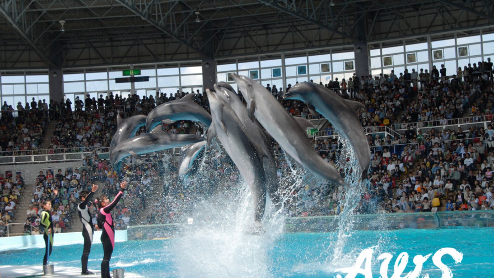 アドベンチャーワールド