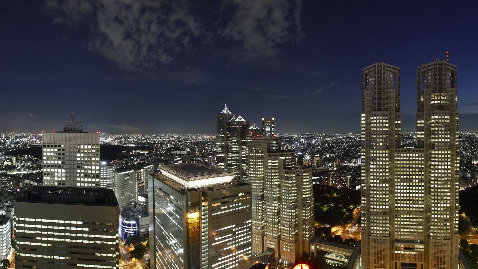 京王プラザホテル 宿泊予約 楽天トラベル 京王プラザホテル 宿泊予約 楽天トラベル