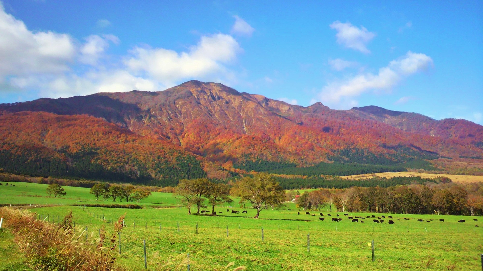 禿岳～紅葉シーズン