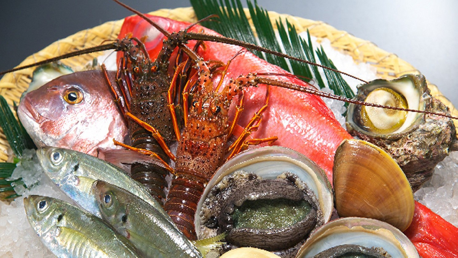 【海鮮三昧】伊勢海老＆鮑付皿盛と千葉県産銘柄牛上総牛ステーキ付プラン＜夕食：料亭阿うん＞