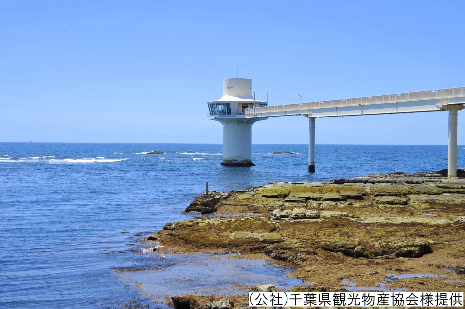 ■勝浦海中公園／当館から車で約15分。　海中展望塔からは海底の様子を見ることができます